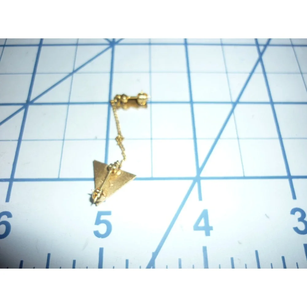 Vintage 1957 Triangle Sorority Fraternity Enamel Lapel Pin Guard Chain Gold Tone